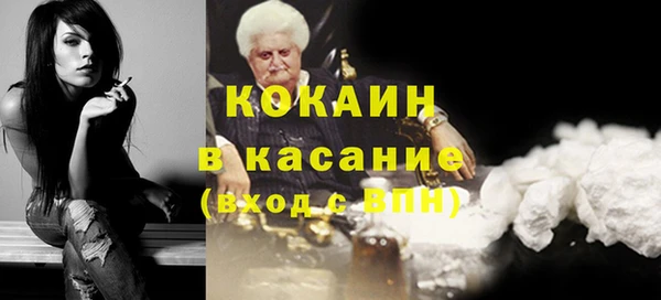 стафф Тайга
