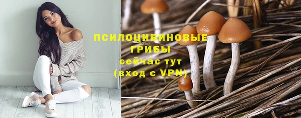 jwh Зерноград