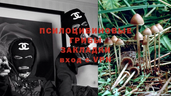 шишки Зеленодольск