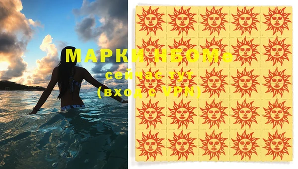 стафф Тайга