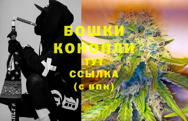 бошки Сясьстрой